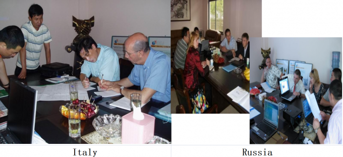 El incinerador orgánico del gas inútil Directo-encendió el incinerador del gas inútil 14