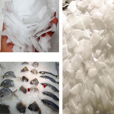 Máquina de hacer hielo 2tons de la escama de acero de SUS304 Staineless para las granjas